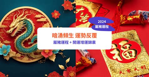 2024生肖豬運勢|屬豬2024運勢丨屬豬增運顏色、開運飾物、犯太歲化解、年份